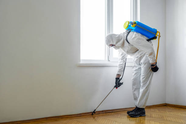 Pest Prevention Services in Alturas, FL