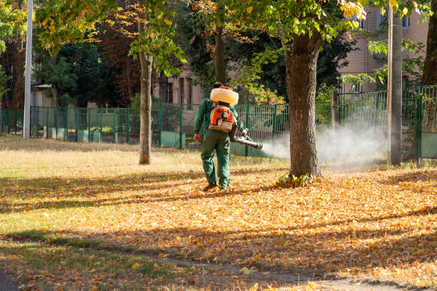 Best Wasp Removal Services  in Alturas, FL