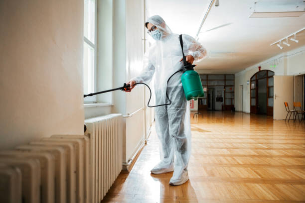 Best Pest Removal Services  in Alturas, FL
